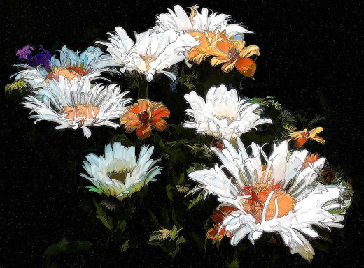 794343 (a): :2011x1484